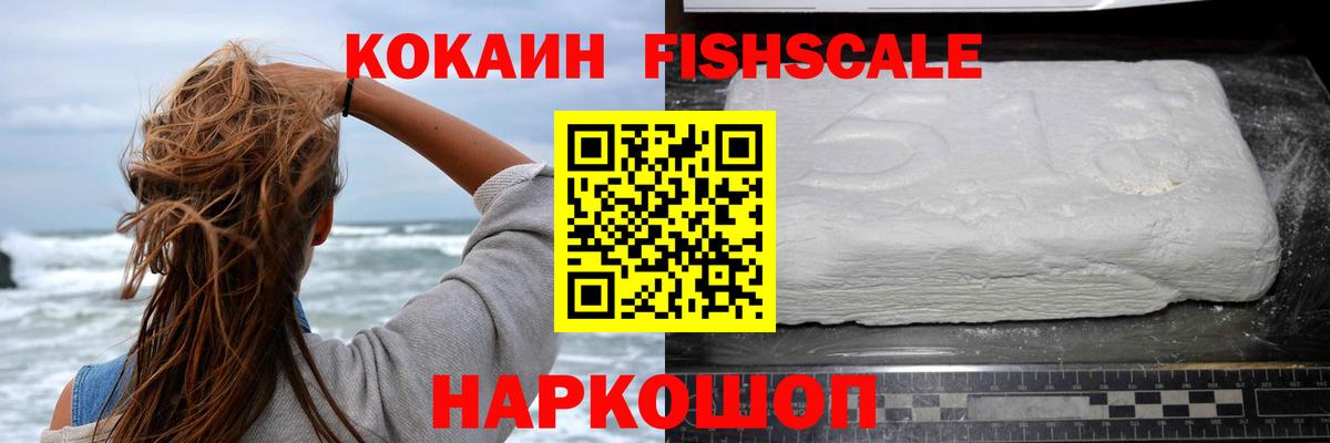продажа наркотиков  COCAIN 99%  Вход с VPN  Кокаин Fish Scale  Камышлов 