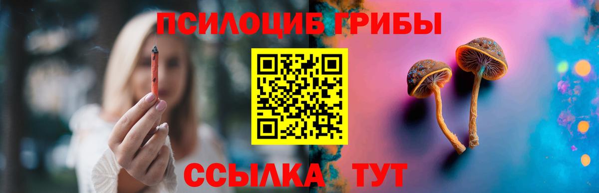 Псилоцибиновые грибы MAGIC MUSHROOMS Камышлов