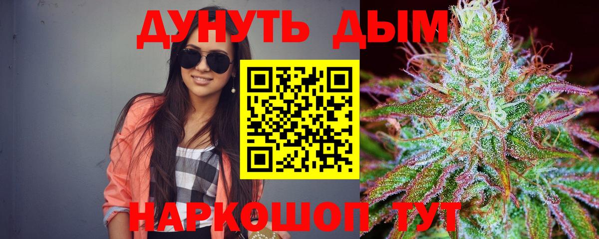 Конопля планчик Камышлов